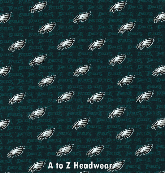 Philadelphia Eagles Mini-Print